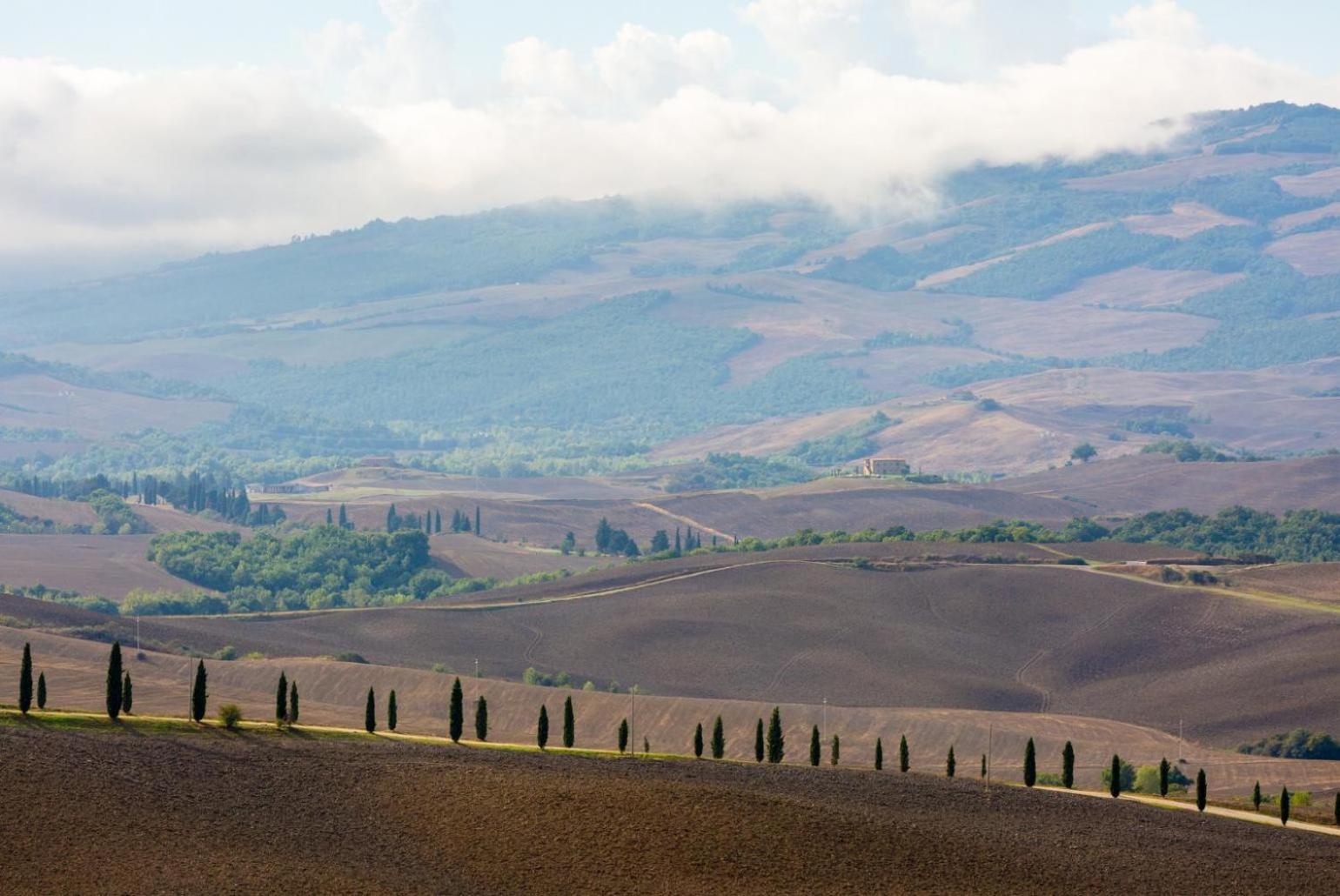 Villa Podere Belvedere Siena Eksteriør billede